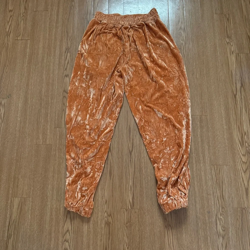 Urban Outfitters Aurora Crushed Velvet Joggers - Picture 2 of 6